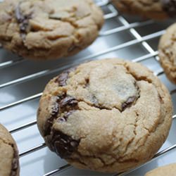 Chocolate Chip Heaven