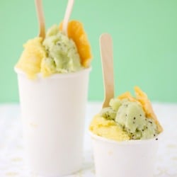 Peach, Pineapple, Kiwi Sorbet Trio