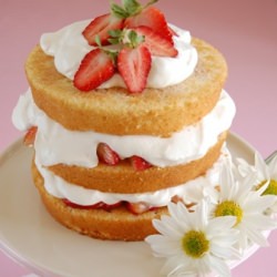 Sky-high Strawberry Shortcake