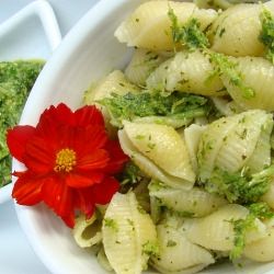 Garlic Scape Pesto
