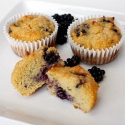 Blackberry Muffins