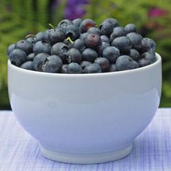 Bowl of Blueberries