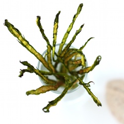 Crispy Asparagus