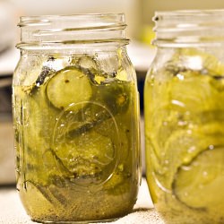 Bread and Butter Pickles