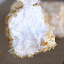 Homemade Coconut Marshmallows
