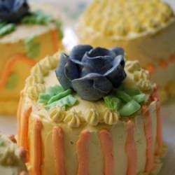 Mini Mango Chiffon