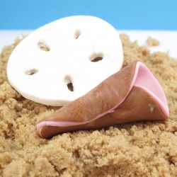 Candy Clay Shells
