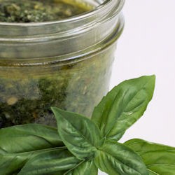 Basil Pesto