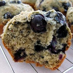 Blueberry Muffins