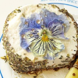 Pretty Goat Cheese~