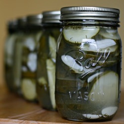 Dill Pickles