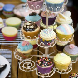 Cupcakes Everywhere