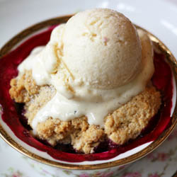 Blueberry Cobbler