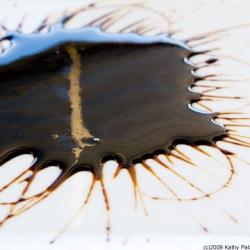 blackstrap molasses