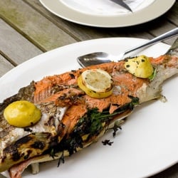 Wild Sockeye Salmon