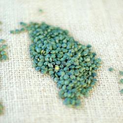 French Green Lentil Soup