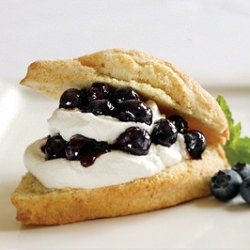 Blueberry Shortcake