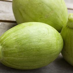 Avocado Squash