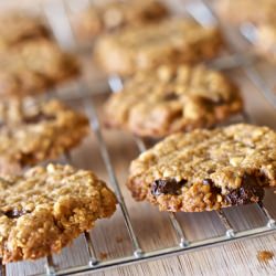 Peanut Butter Flax Chocolate Chip