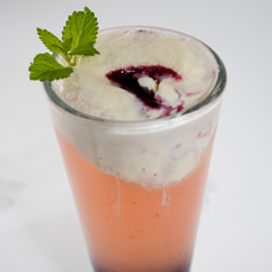 Blueberry Lemon Ice Cream Spritzer