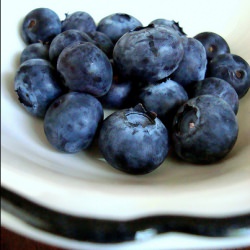 Lemon Blueberry Bread