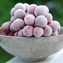 Frozen Grapes