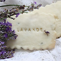 Lavender Cookies~