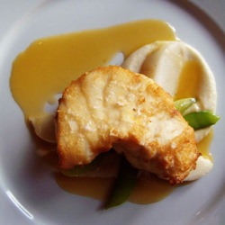 Monkfish