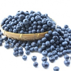 UBC Blueberry Fest