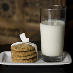 Chocolate & Hazelnut Cookies