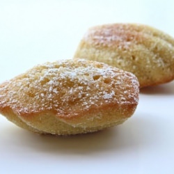 Traditional Madeleines