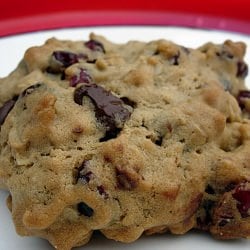 Craisin Oatmeal Cookies
