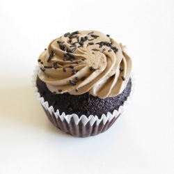 Mocha Cupcake