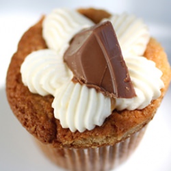 Love’s Cupcakes
