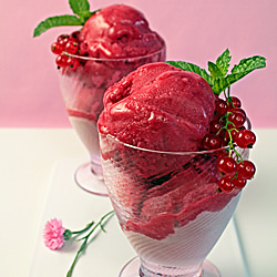 Minted Black Currant Sorbet
