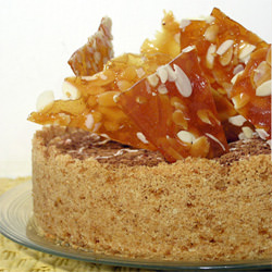 Frozen Honey Cheesecake and Praline