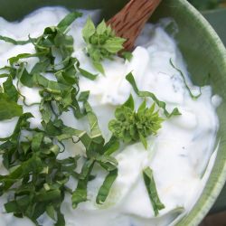 Homemade Tzatziki