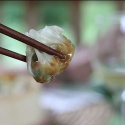 Chicken Dumplings