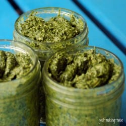 Spicy Cilantro Pesto