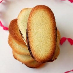 Milano Cookies Daring Bakers