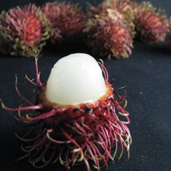 Rambutan