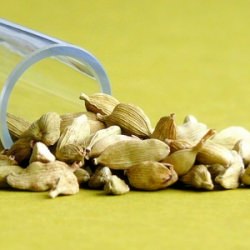 Cardamom