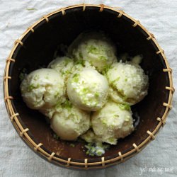 Creamy Coconut Lime Sorbet