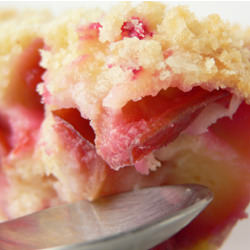 Plum Buckle