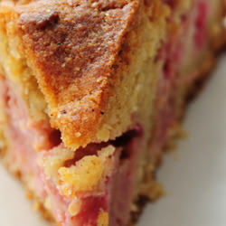 Rhubarb Cinnamon Torte