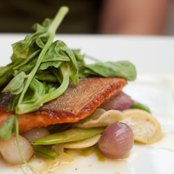 Arctic Char from Monday Club