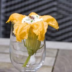 Bacon & Ricotta Stuffed Squash Blossom