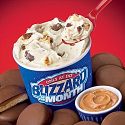 Girl Scout Cookie Blizzards