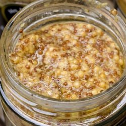 Mrs. McgGarrigle’s Mustards