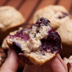 Cherry Cardamom Muffins with Chia